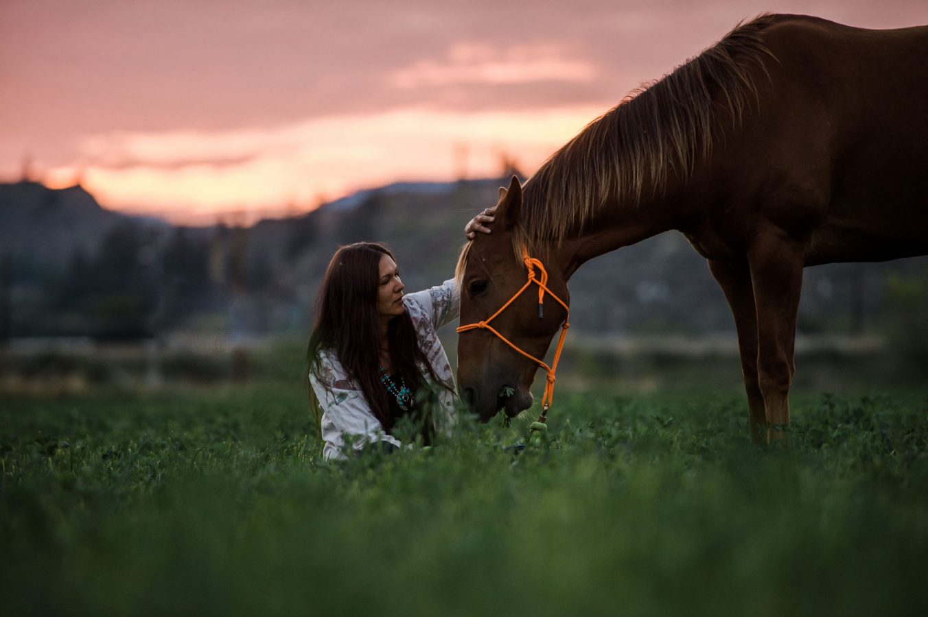 woman with long dark hair sits in an alfalfa field petting her horse's head as it grazes