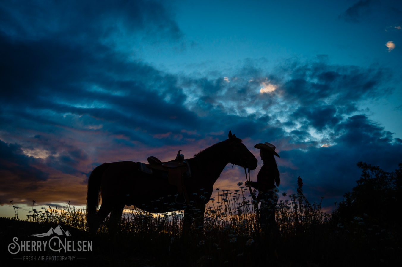 silhouette of a cowgirl and her horse by horse photographer sherry nelsen in sechelt bc